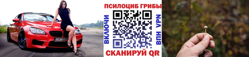 Галлюциногенные грибы GOLDEN TEACHER  купить  сайты  Южно-Сахалинск 