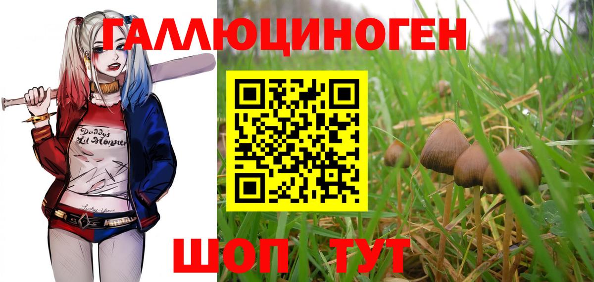 Меф Южно-Сахалинск